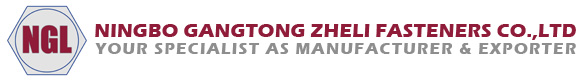 Ningbo Gangtong Zheli бекіткіштері: 20 жылдан астам кәсіби өндіріс, жаһандық бекіткіш жеткізу тізбегін кеңейту